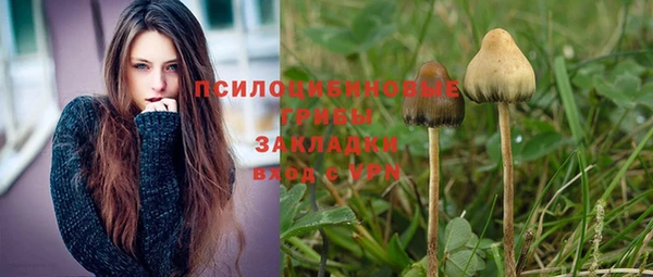 дурь Липки