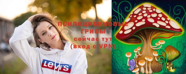 дурь Липки
