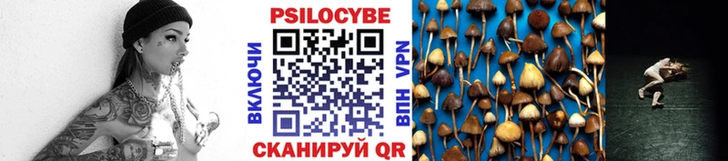 Купить где  Калининец  Псилоцибиновые грибы GOLDEN TEACHER 