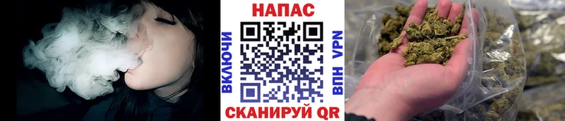 Купить где  Калининец  Бошки Шишки планчик 